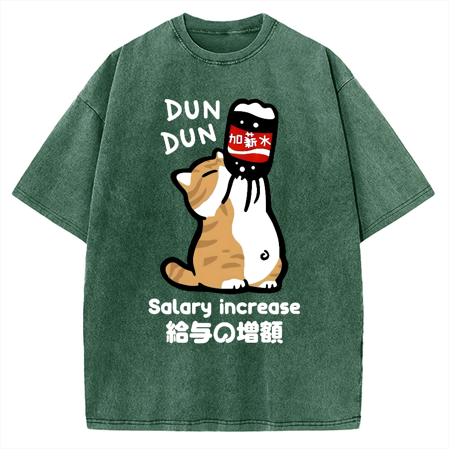 Salary Increase Vintage Washed T-shirt