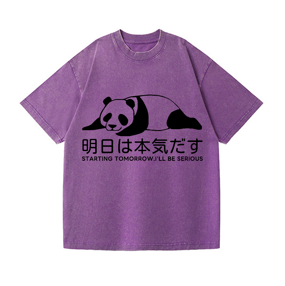 Starting Tomorrow, I'Ll Be Serious Panda Vintage Wash Japanese Design T-Shirt