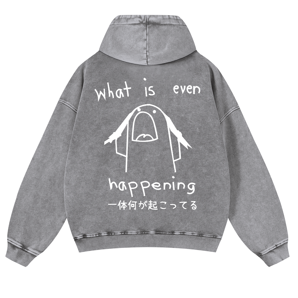 What Is Even Happening Vintage Washed Cotton Back Art Hoodie