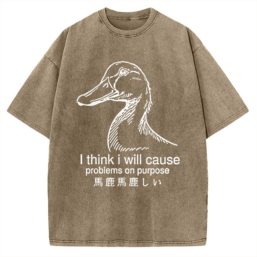 Funny Goose Vintage Washed T-shirt