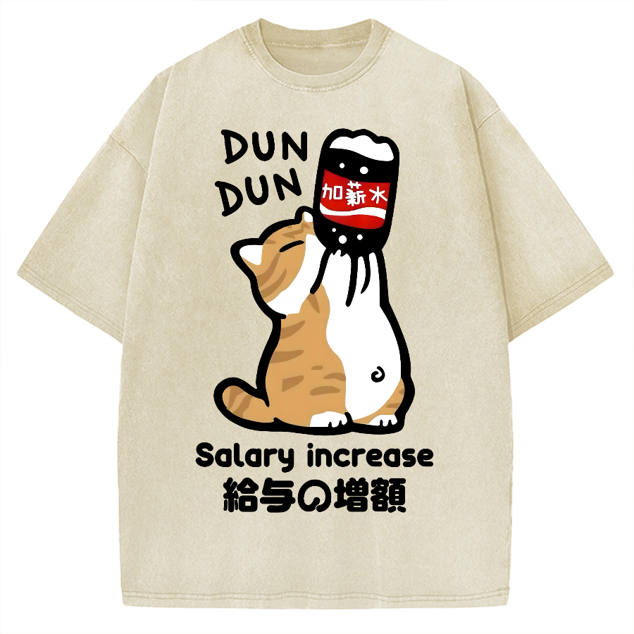 Salary Increase Vintage Washed T-shirt