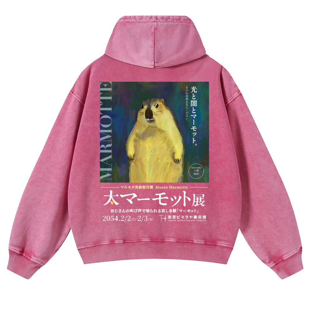 Marmot Vintage Washed Cotton Back Art Hoodie