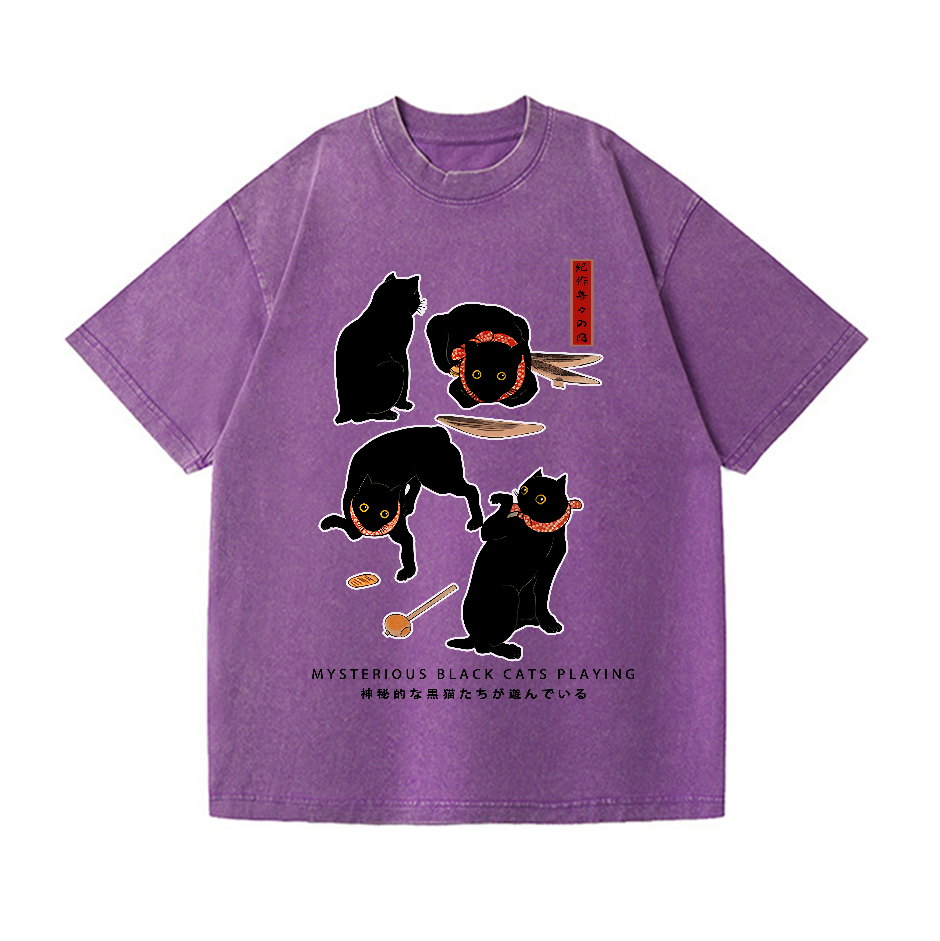 Black Cat Vintage Wash Japanese Design T-Shirt