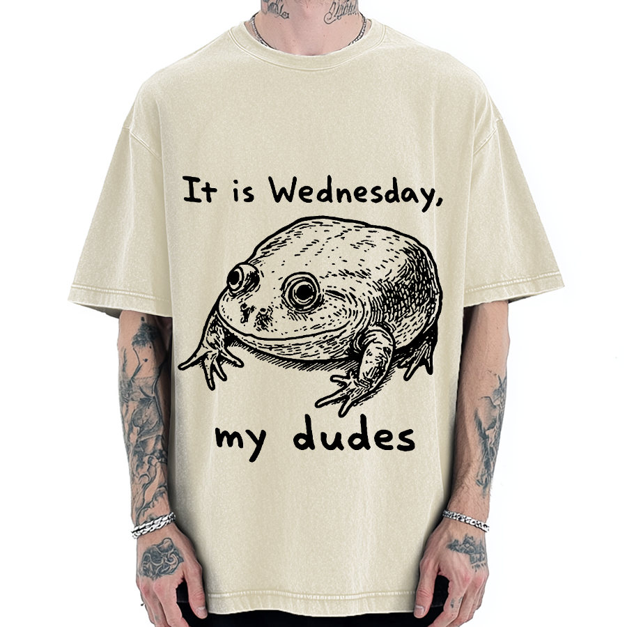 Wensday Frog Vintage Washed T-shirt