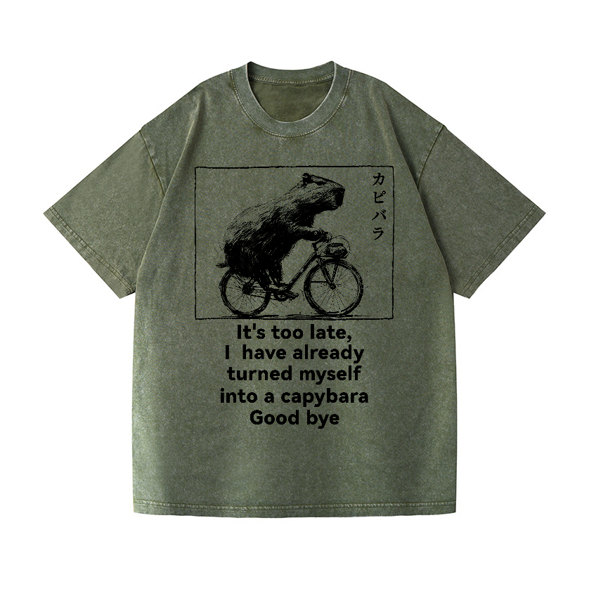 Capybara Vintage Wash Japanese Design T-Shirt