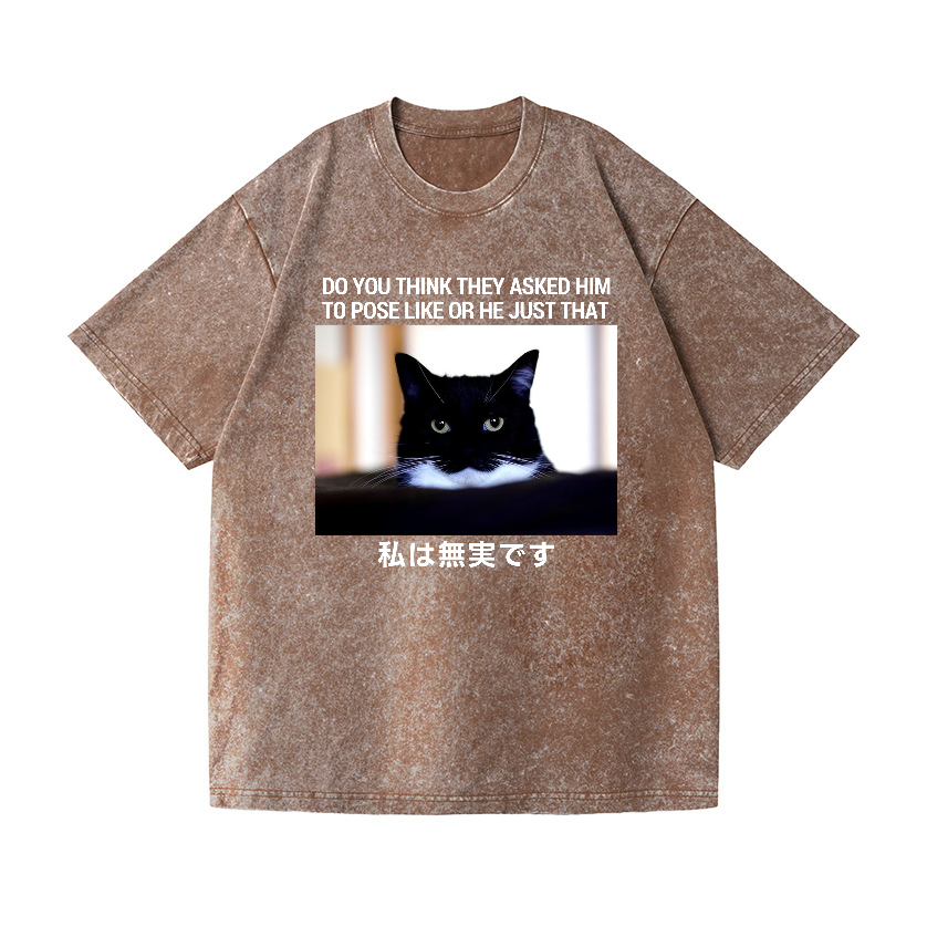Cat Vintage Wash Japanese Design T-Shirt