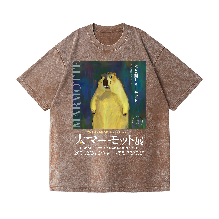 Marmot Vintage Wash Japanese Design T-Shirt