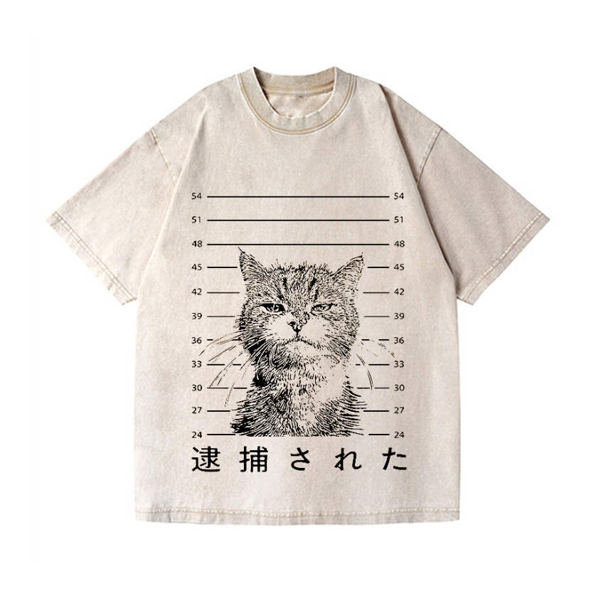 Arrested Cat Vintage Wash Japanese Design T-Shirt