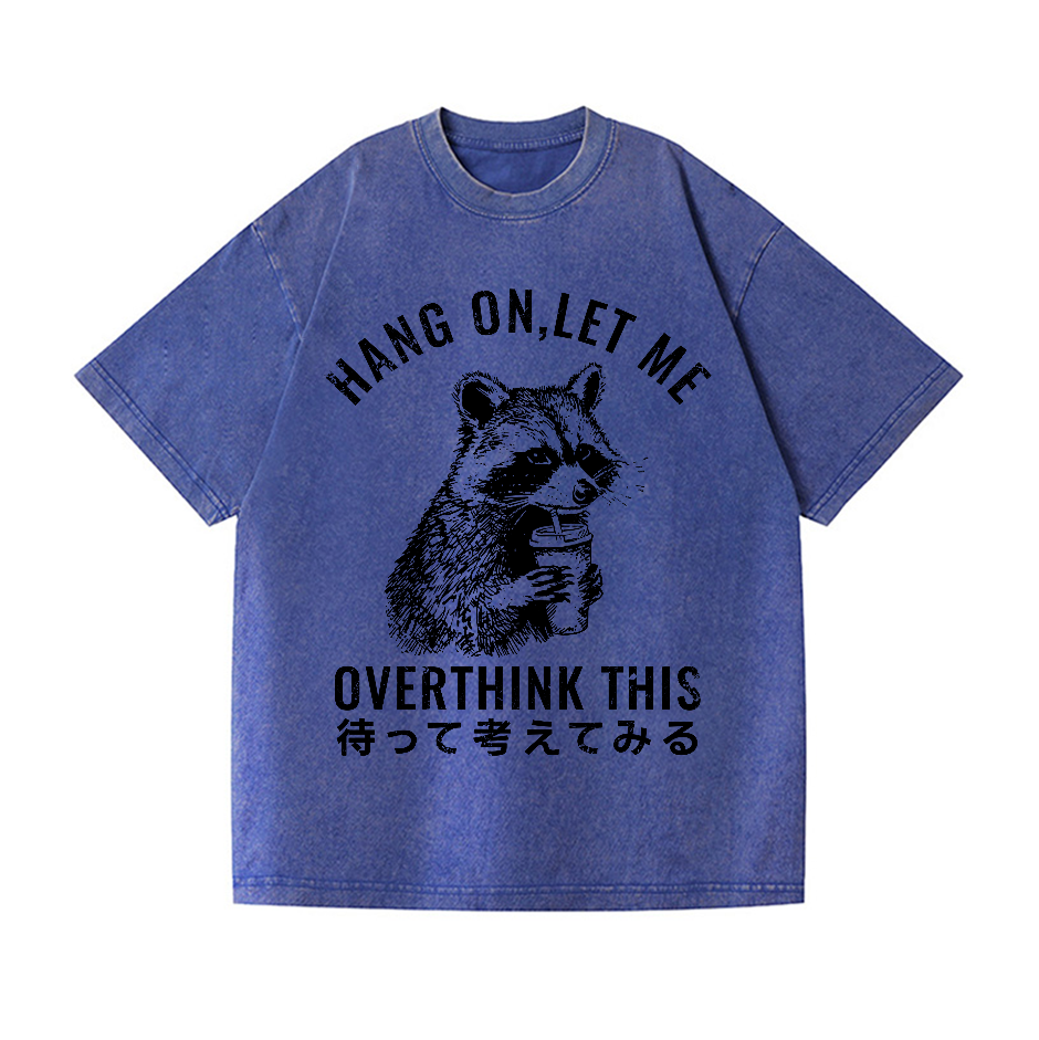 Racoon Vintage Wash Japanese Design T-Shirt
