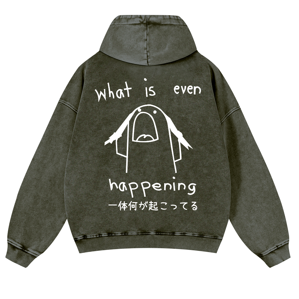 What Is Even Happening Vintage Washed Cotton Back Art Hoodie