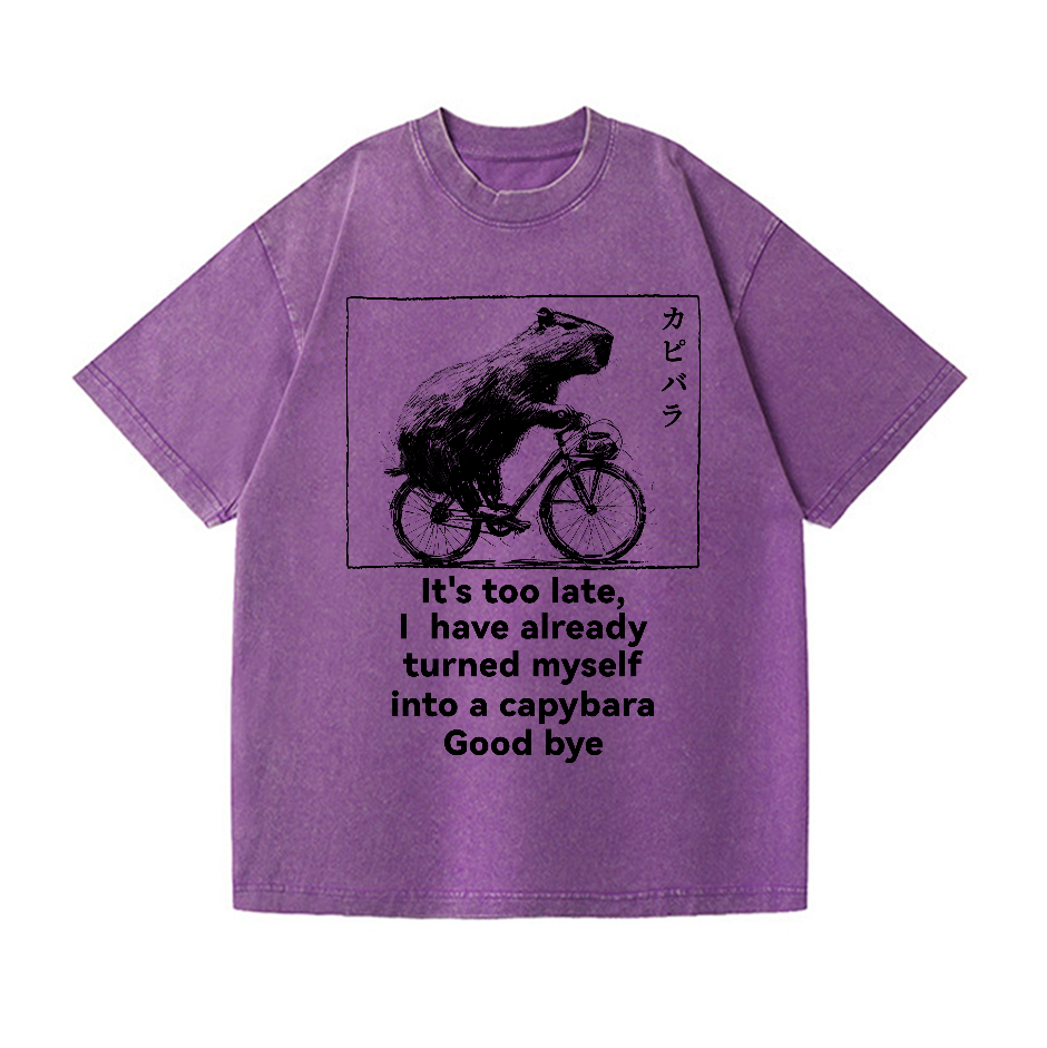 Capybara Vintage Wash Japanese Design T-Shirt