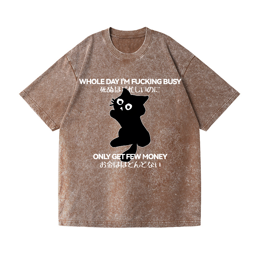 Cat Vintage Wash Japanese Design T-Shirt