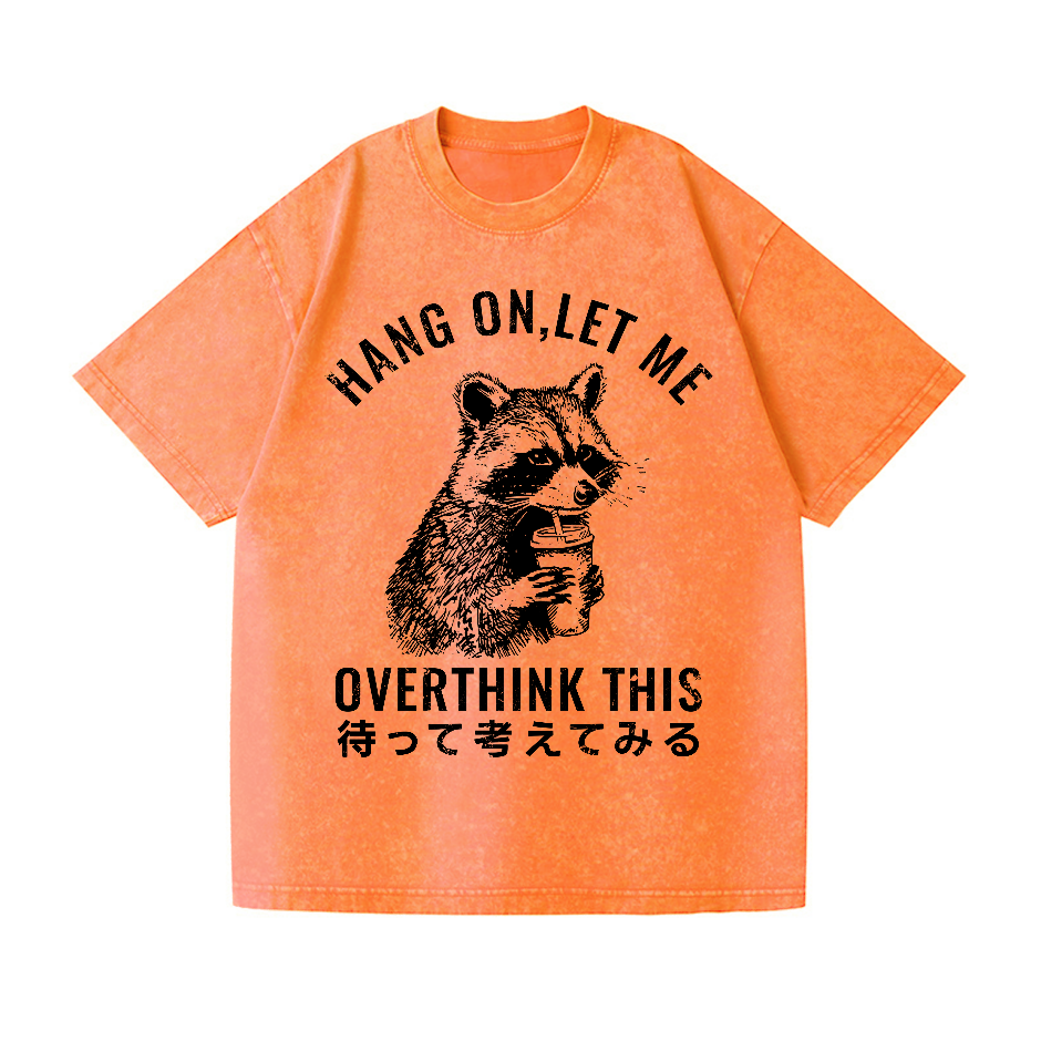 Racoon Vintage Wash Japanese Design T-Shirt