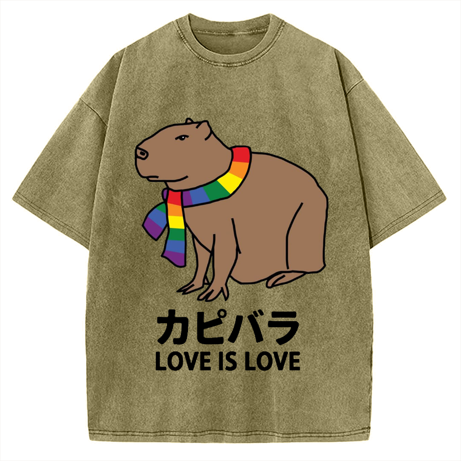 Capybara With Love Vintage Washed T-shirt
