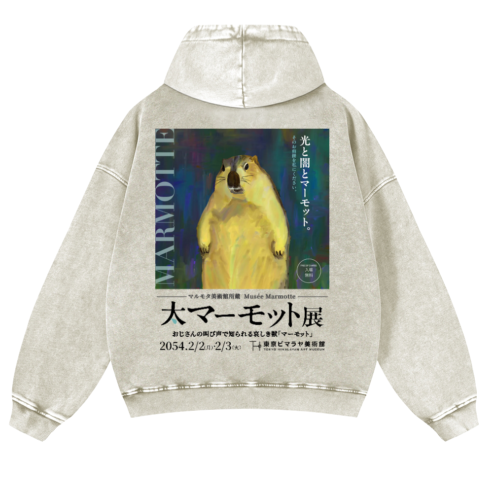 Marmot Vintage Washed Cotton Back Art Hoodie