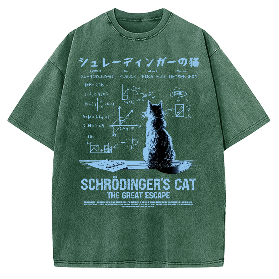 Schrodinger's cat escape plan Vintage Washed T-shirt