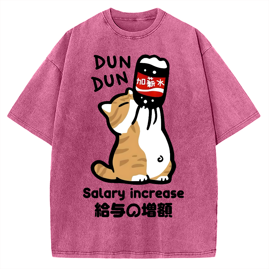Salary Increase Vintage Washed T-shirt