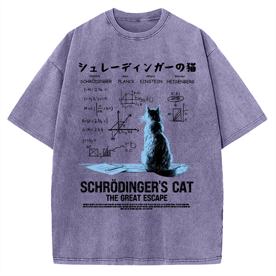 Schrodinger's cat escape plan Vintage Washed T-shirt