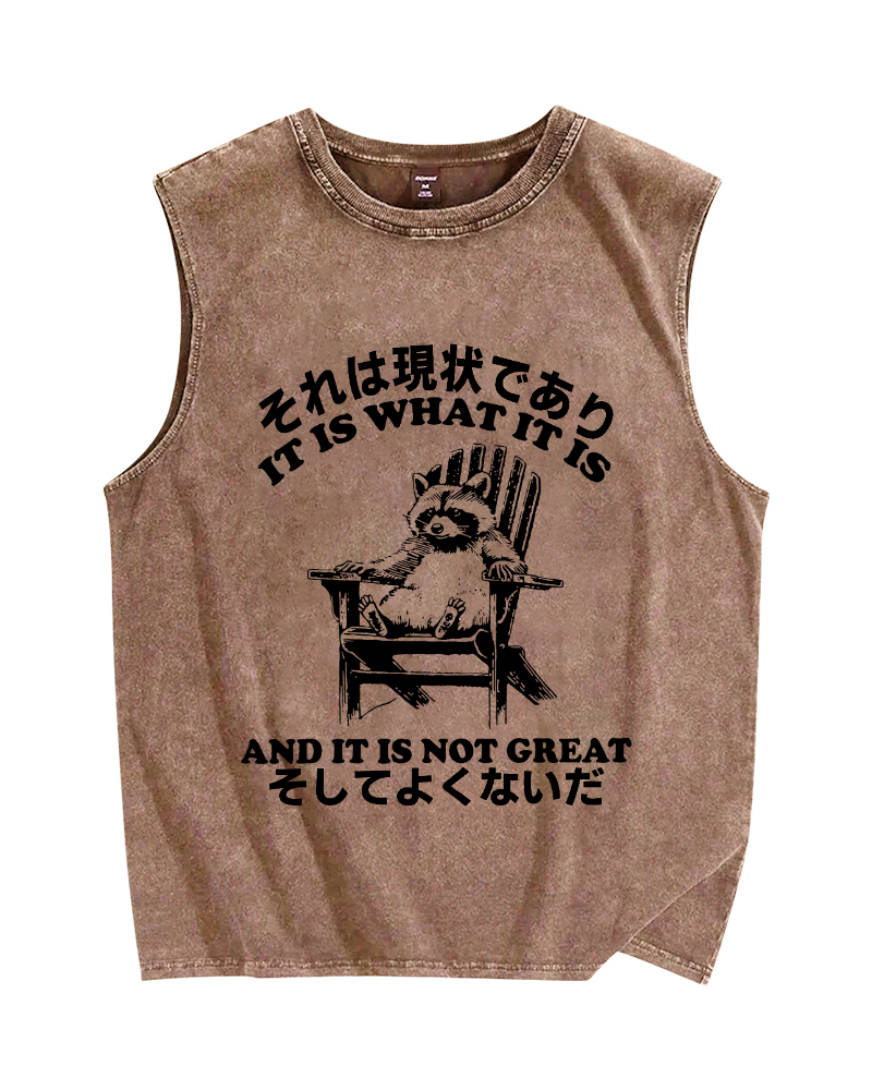 Bad Condition Raccoon Vintage Distressed Washed Tank Top