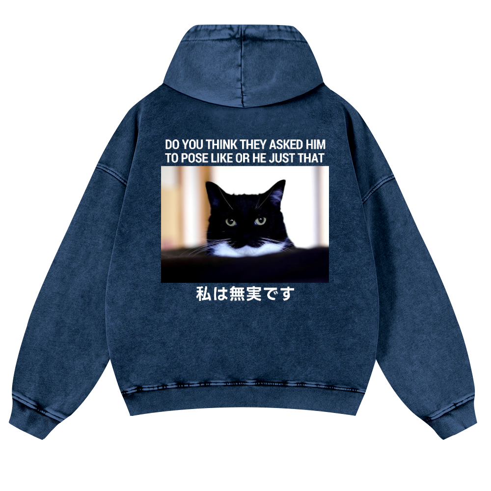 Cat Vintage Washed Cotton Back Art Hoodie