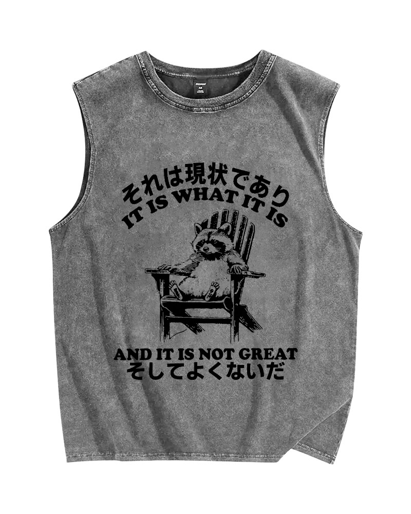 Bad Condition Raccoon Vintage Distressed Washed Tank Top