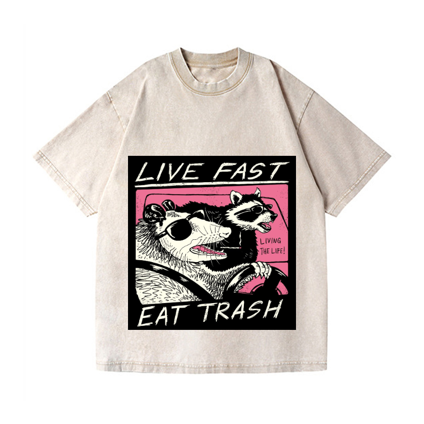 Raccoon Vintage Wash Japanese Design T-Shirt