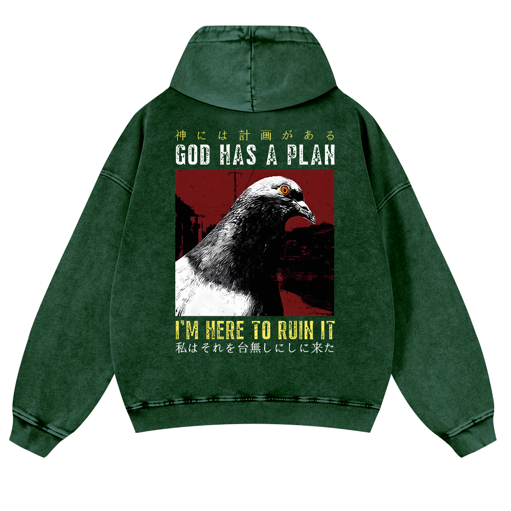 Pigeon Vintage Washed Cotton Back Art Hoodie