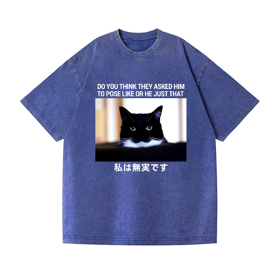 Cat Vintage Wash Japanese Design T-Shirt