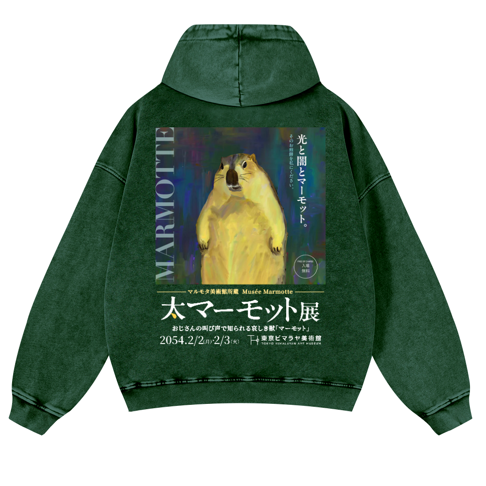 Marmot Vintage Washed Cotton Back Art Hoodie