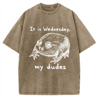 Wensday Frog Vintage Washed T-shirt