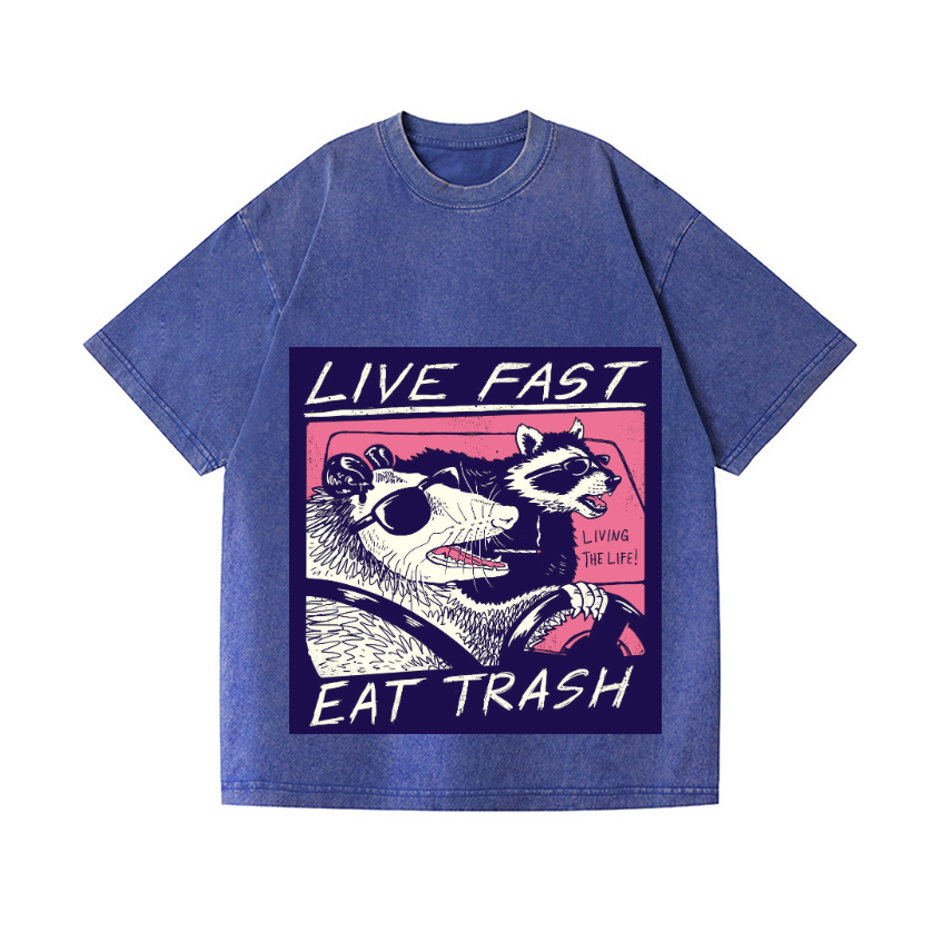 Raccoon Vintage Wash Japanese Design T-Shirt