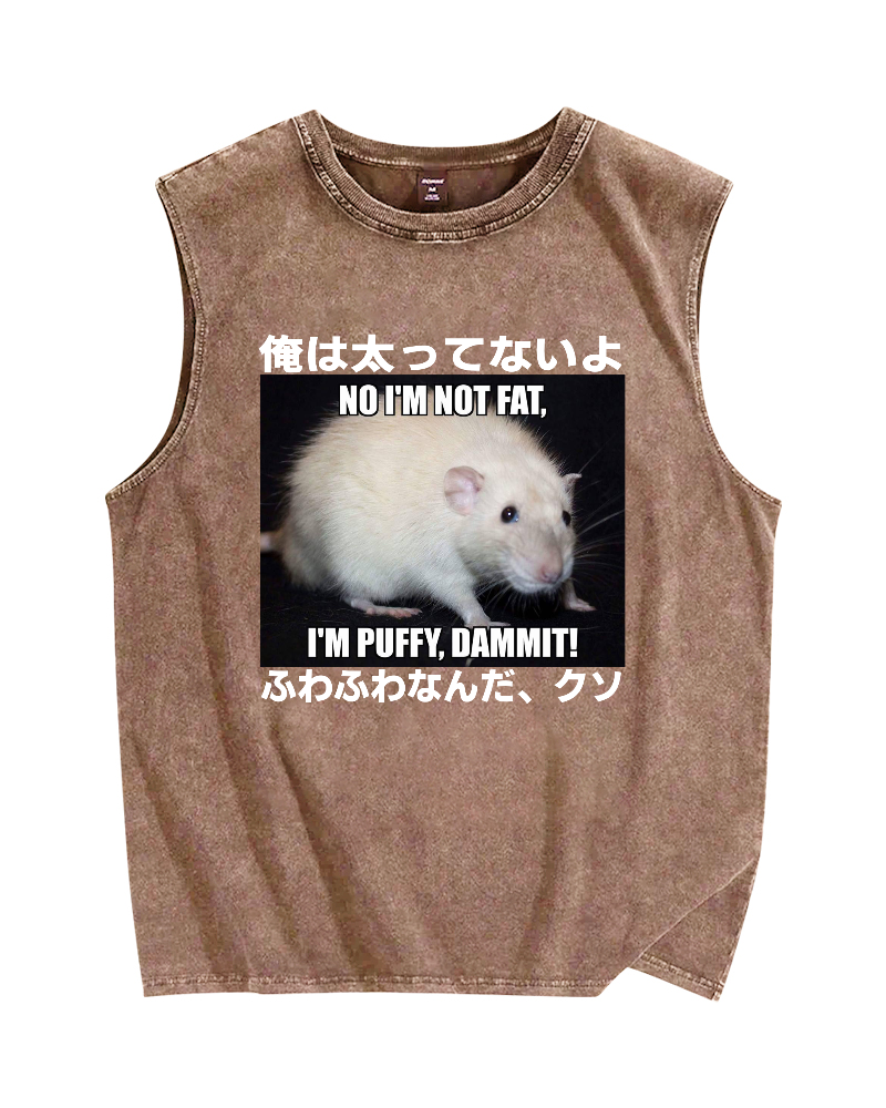 Puffy Rat Vintage Distressed Washed Tank Top