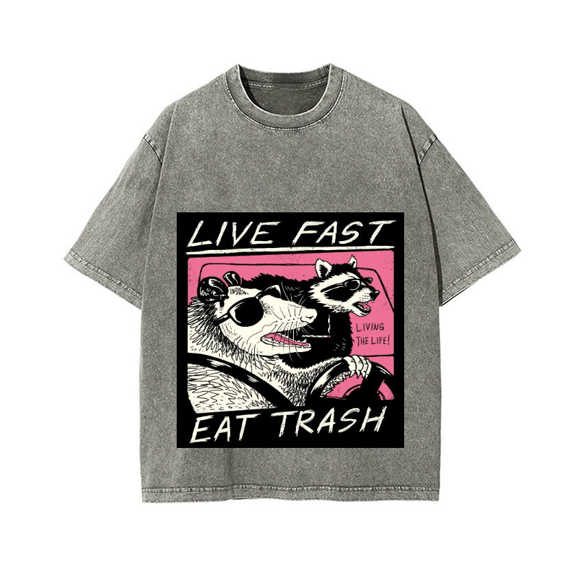 Raccoon Vintage Wash Japanese Design T-Shirt