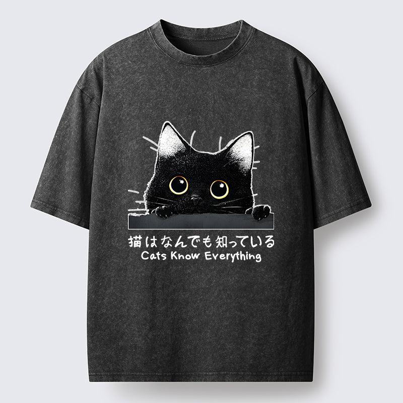 Cats Know Everything Washed T-Shirt