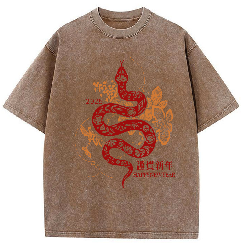 Welcome The Year Of The Snake Washed T-Shirt