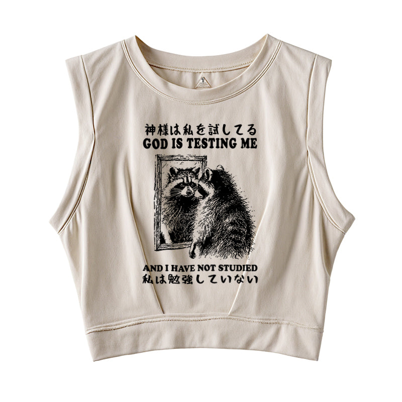Raccoon Not Studied Sleeveless Crop Top