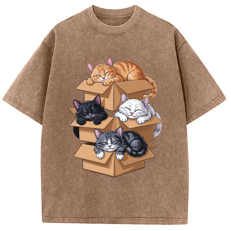 Kawaii Cardboard Cat Washed T-Shirt