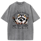 Adorable Raccoon Washed T-Shirt