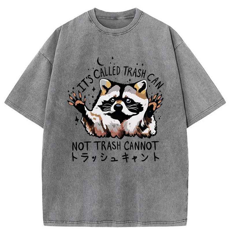 Adorable Raccoon Washed T-Shirt