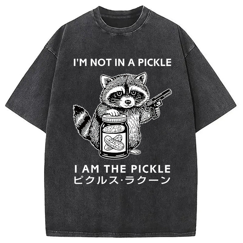 Funny Raccoon Japan Washed T-Shirt