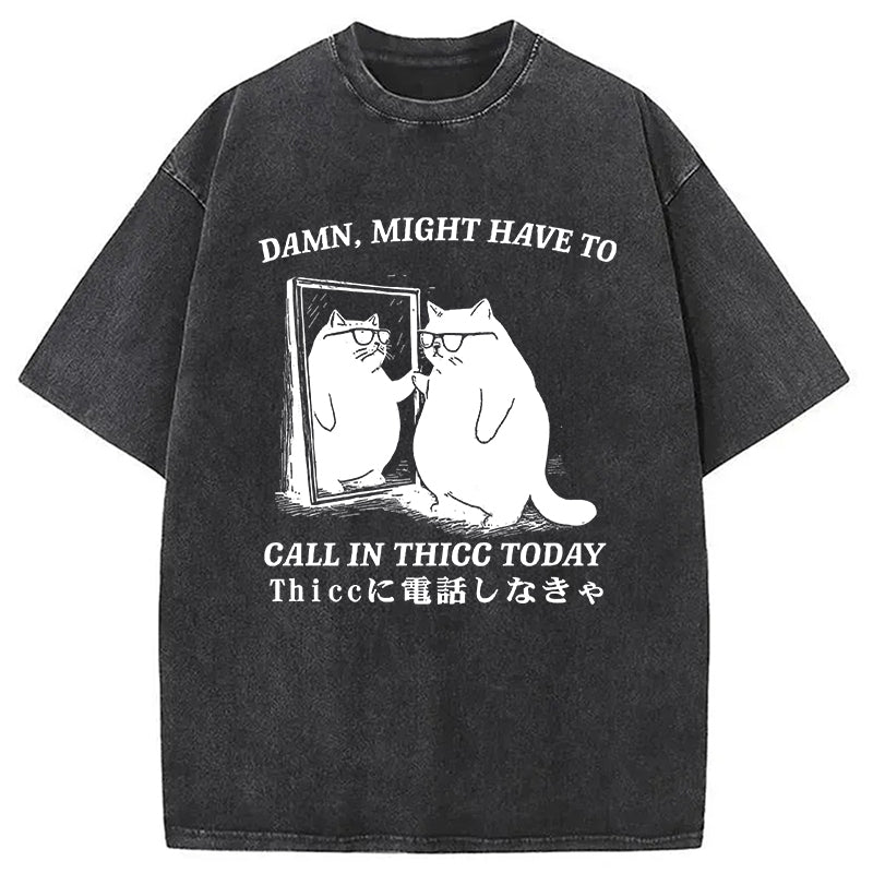 Cat Admiring Himself Washed T-Shirt