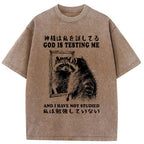 Raccoon Not Studied Washed T-Shirt