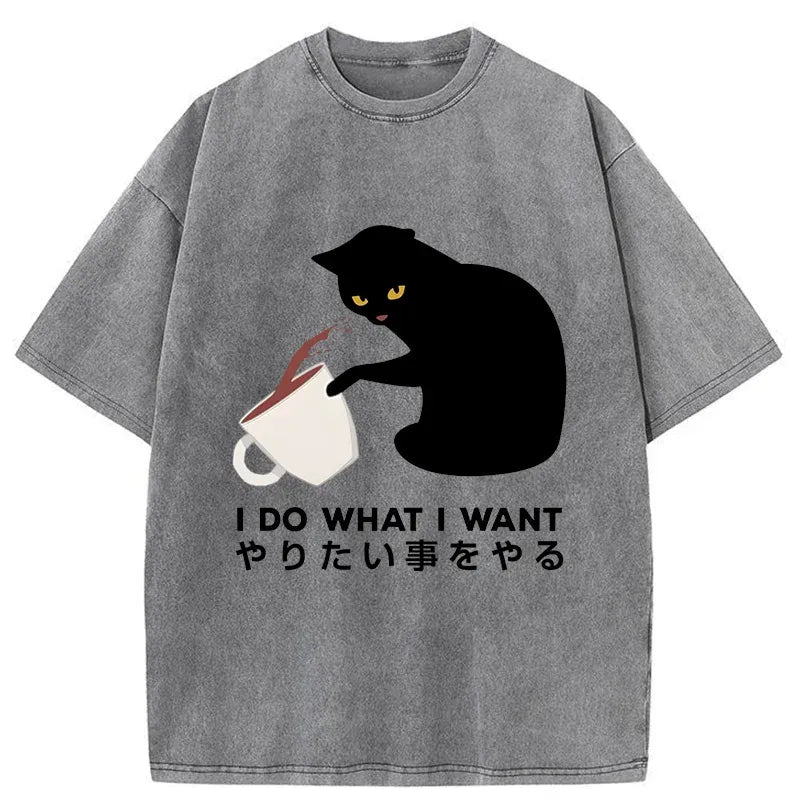 Tsundere Cat Funny Washed T-Shirt