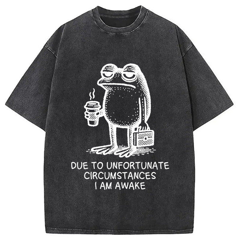 Decadent Frog Washed T-Shirt