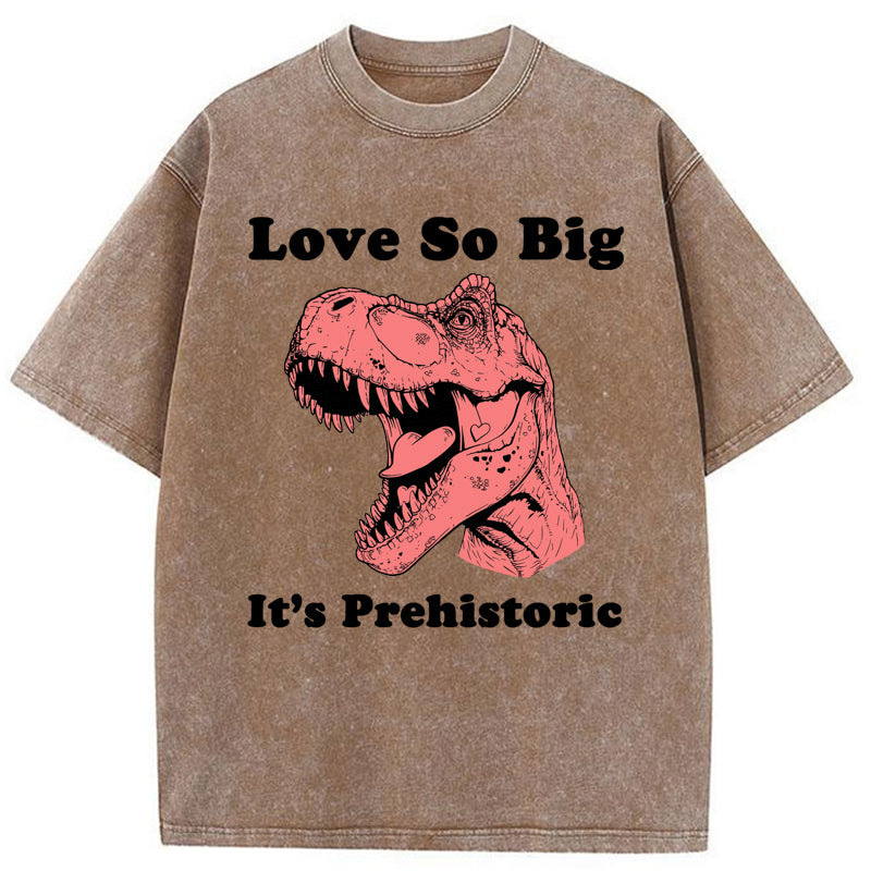 Unisex Prehistoric Love Washed T-Shirt