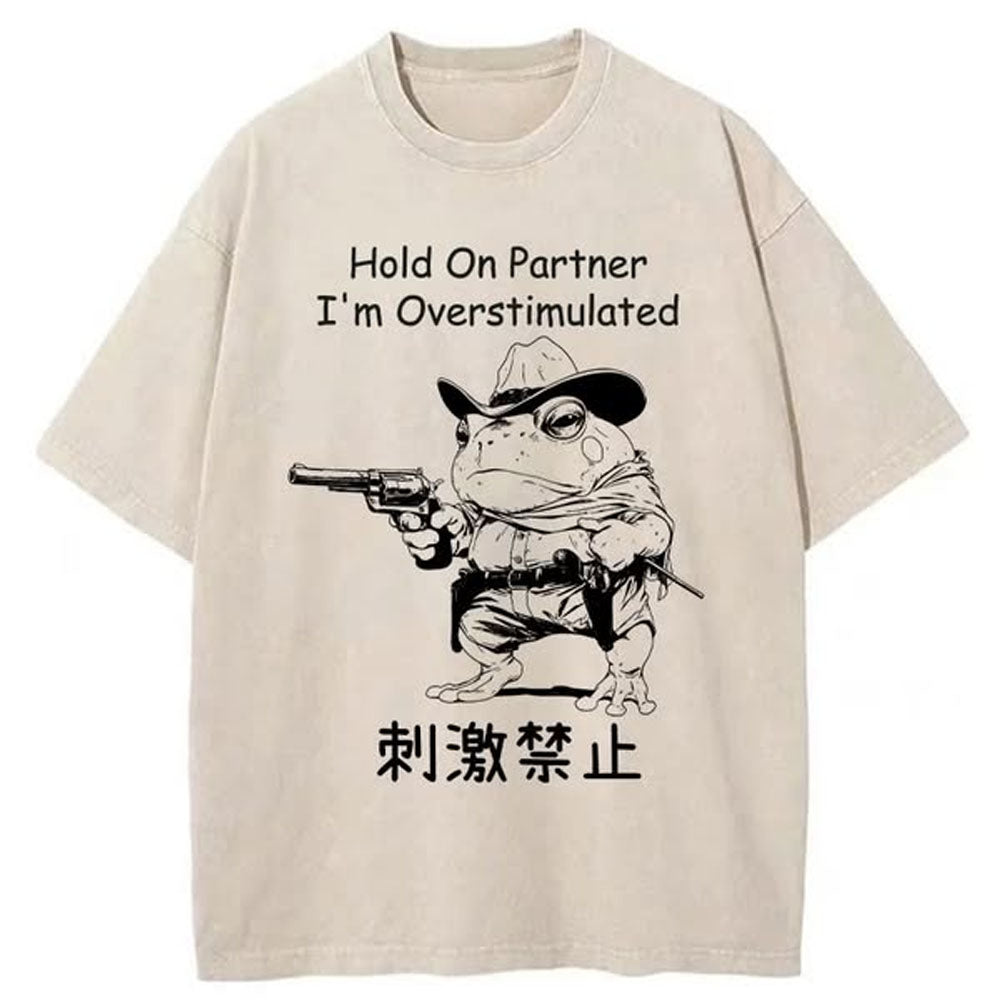 Overstimulated Frog Washed T-Shirt