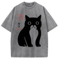 Funny Zen Cat Meme Washed T-Shirt