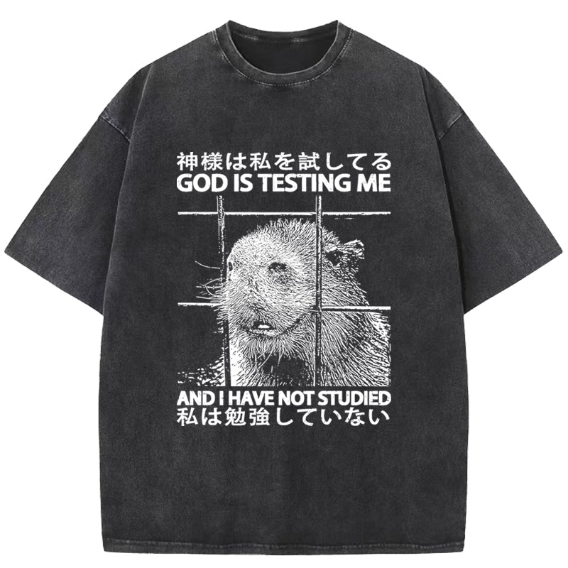 God Is Testing Me Washed T-Shirt