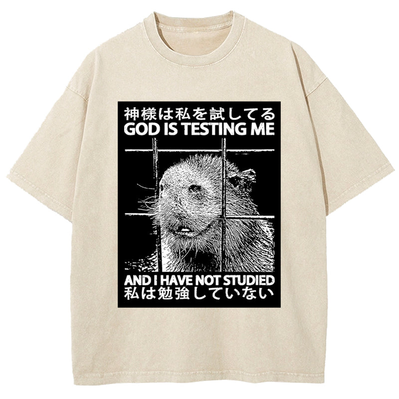 God Is Testing Me Washed T-Shirt