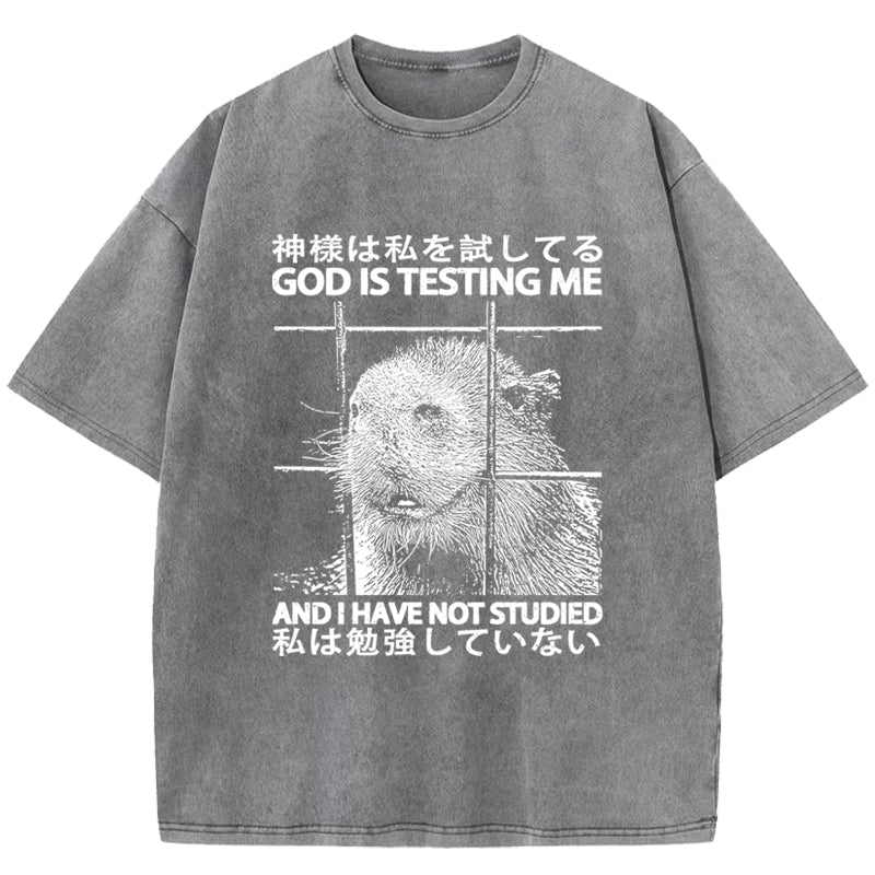 God Is Testing Me Washed T-Shirt